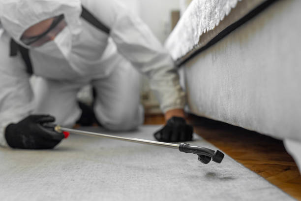 Professional Termite Control technician working in Wimauma, FL
