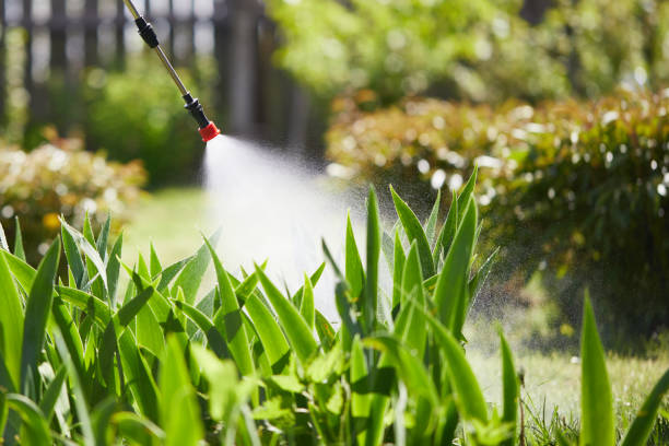24/7 Emergency Termite Control experts in Wimauma, FL
