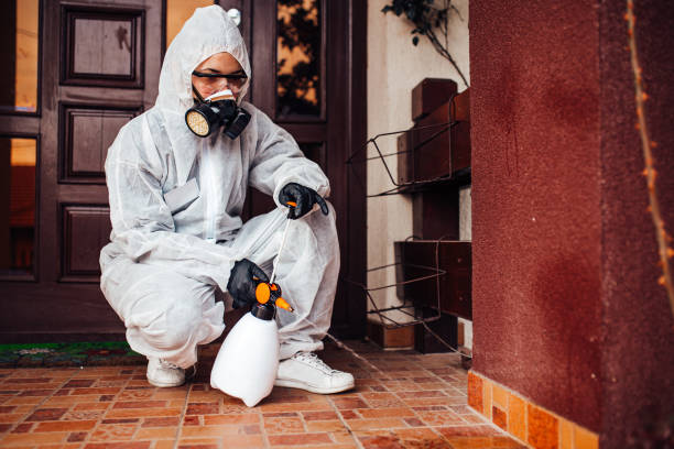 Reliable Termite Control contractor in Wimauma, FL by Nex Pest Control